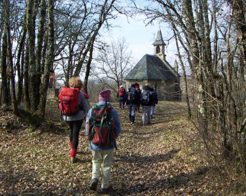 Randonnée en forêt - Club Leo Lagrange de Montauban