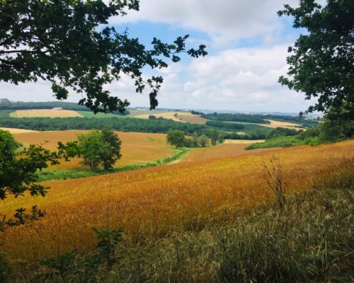 Toscane française